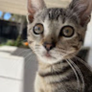 Meet your Posher, Daniel